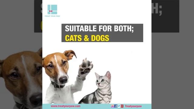 Dog & Pet Nail Trimmer смотреть онлайн