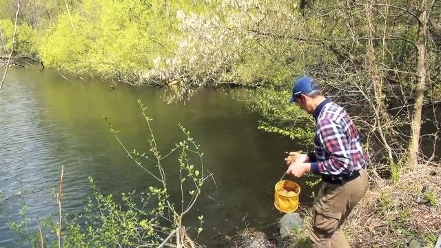 Карп на фидер клюёт как уклейка! Пешком по шпалам на тайное озеро. Ловля карпа весной на флэт фидер смотреть онлайн