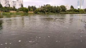 Кораблик для рыбалки с автопилотом и эхолотом