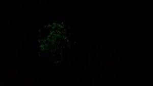 фосфоресценция сульфида цинка+бонус!Свечение люминофора.Красивое физико-химическое явление