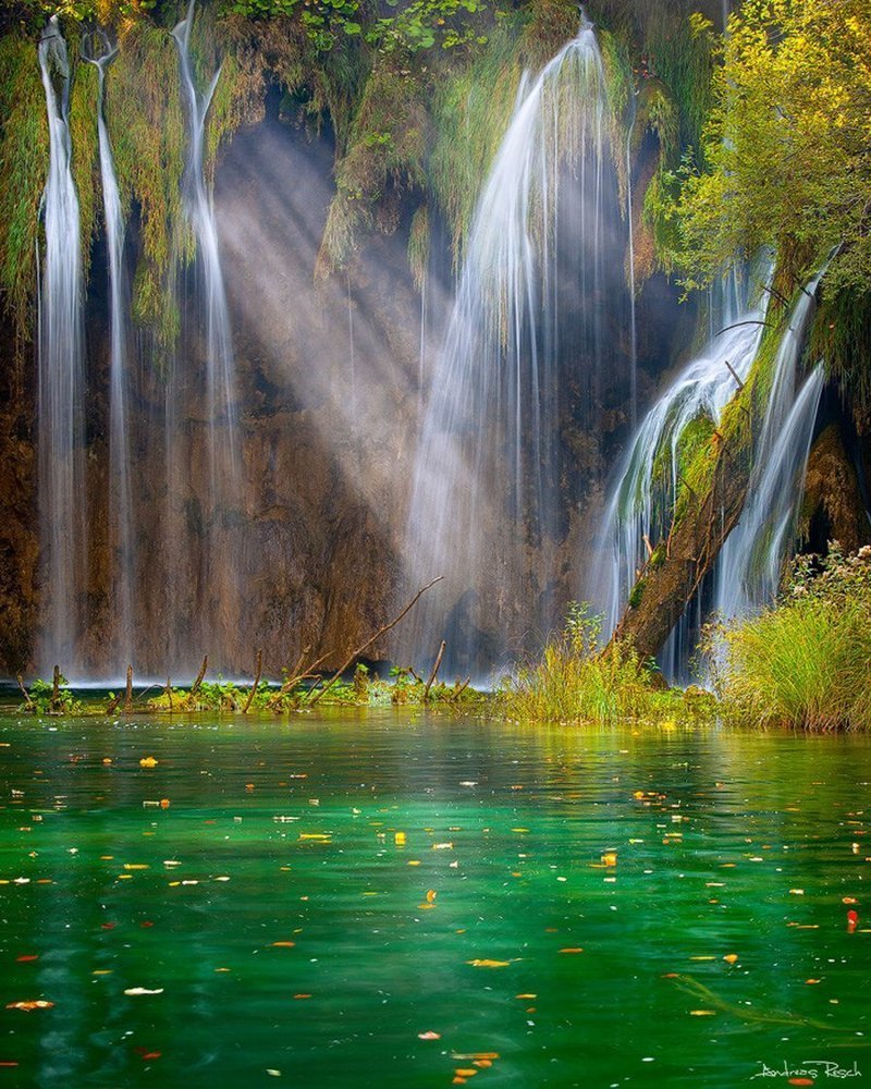 красивые фото