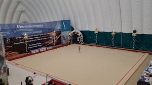 Художественная гимнастика
