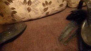 Ремонт кавалерийского седла. Часть 2