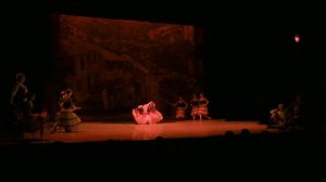 Дон Кихот (01.12.12) ЦОП монтаж