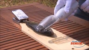 Электрорыбочистка