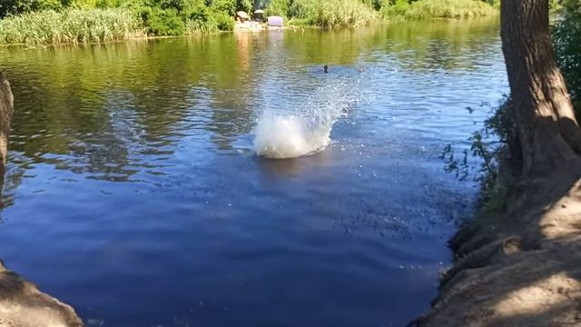 прыжки в воду, сальто, вело, элементы на турнике смотреть онлайн