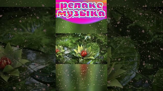 #Shorts 48. ВОЛШЕБНОЕ ОЧАРОВАНИЕ ПРИРОДЫ | НАНДИ И БАСМАКИ | relax смотреть онлайн