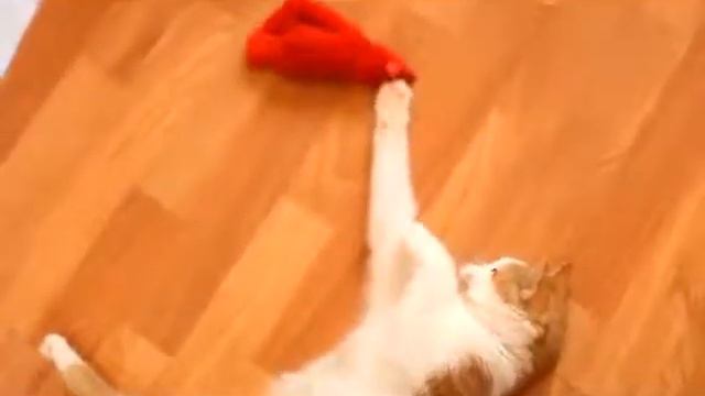 Рыжик ищет маму.mp4 смотреть онлайн