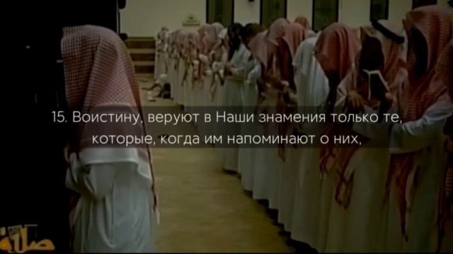 Сура 32. Ас-Саджда (Земной поклон). Мухаммад аль люхайдан. #коран #чтениекорана #ayt #sura #сунна