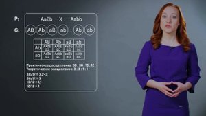 Тема: Решение задач по генетике