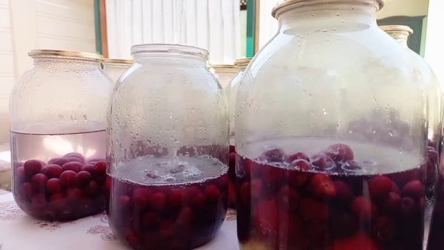 АССОРТИ КОМПОТ. QISHGA MULTIFURKT TAYYORLAYMIZ #kompot #multifruktkompot #kampot смотреть онлайн