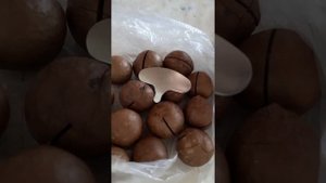 Часть 2. Макадамский орех. Орех макадамия. Открыть ключ Скорлупа макадамии Правила употребления Блю