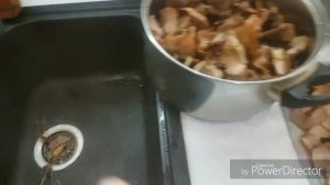 Сбор и обработка грибов - ОПЯТА готовим пока жены нет дома