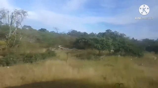 Going to Bulawayo Zimbabwe || Welcome back Let's continue our journey to Bulawayo Zimbabwe. смотреть онлайн