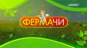 ФЕРМАчи. Гусиная ферма