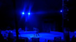 ЦИРКОВОЙ НОМЕР . ЖОНГЛИРОВАНИЕ . В ЦИРКЕ. Jugglers