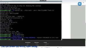 Install esptool.py on Raspberry Pi OS and flash MicroPython firmware on NodeMCU ESP-C3-32S-Kit