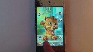 Обзор - Talking Ginger