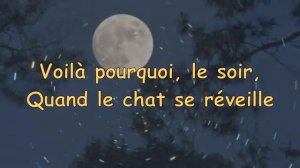 Le chat et le soleil