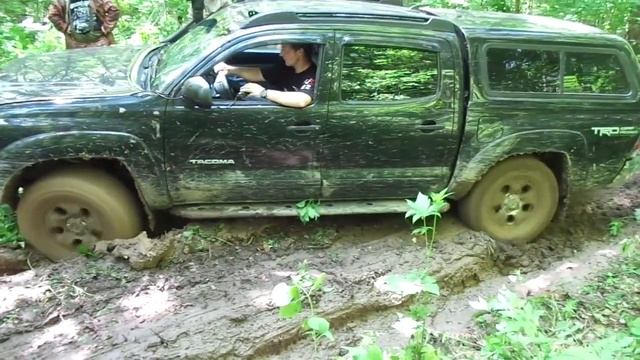 Тайга 2020 смотреть онлайн