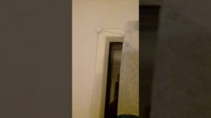 Занавеска-жалюзи на балконную дверь. На шнурке.