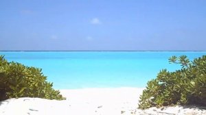 РЕАЛЬНЫЕ Мальдивы. Остров Расду и Тоду