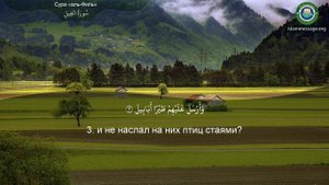 Коран Сура 105 аль-Филь (Слон) русский | Мишари Рашид Аль-Афаси