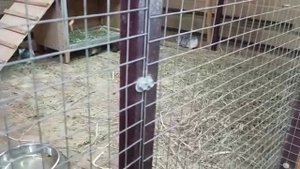 Ростов-на-Дону 7