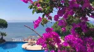 Vlog??: наши впечатления / отель Ариа кларос / Aria Claros Beach & Spa Resort / ?? Долмуш ?