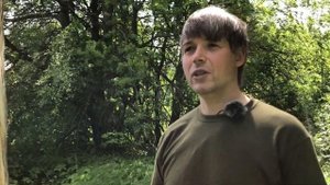 Колода для пчел