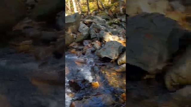 Восхождение на гору Пидан «Ливадийская» Часть 5, Октябрь 2021 г смотреть онлайн