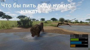 Обучение игра в Roblox Wild savanna