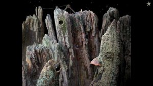 Прохождение Samorost 1 - Remastered Edition |2k| |Без комментариев|