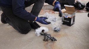 DIY BMW B48 Water Pump Replacement F-Series (330i, 430i)