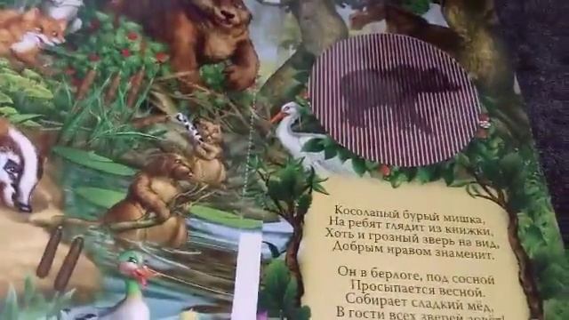 Волшебная книга "ЖИВЫЕ КАРТИНКИ" смотреть онлайн