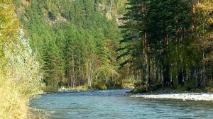 Советы академика Сытина Г.Н. по усвоению настроев