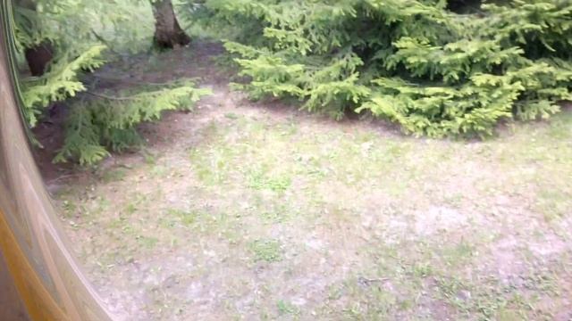 (94) Карантин на даче. С берез, неслышен, невесом, слетает желтый лист и пыльца смотреть онлайн