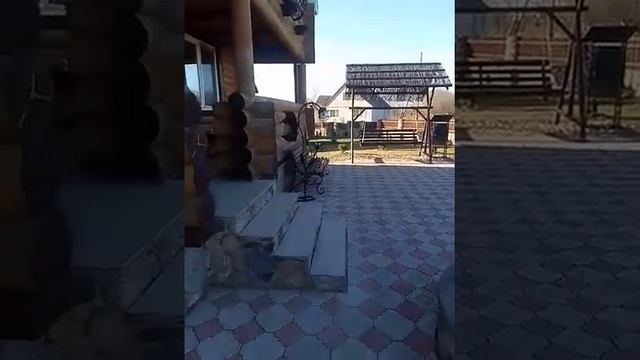 Агроусадьба "Белорусский Байкал" обзор