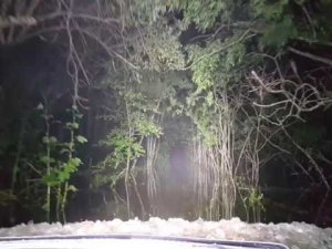 Hummer H3 брод. вода. off-road deep water crossing. Брод ночью.