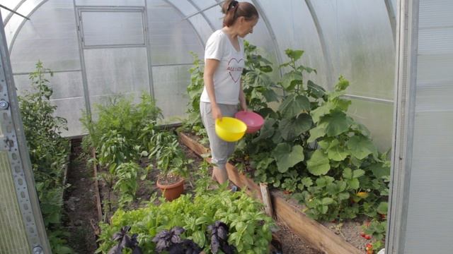 Дом у реки. Чем занимались в начале июля. смотреть онлайн