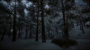 Зимний ночной лес с сильным и пронизывающим ветром и падающим снегом ASMR для сна