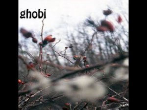 Experimental ⨳ Ambient Electronic ⨳ GHOBI