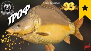 КАРП РАМЧАТЫЙ ТРОФ  оз. ЯНТАРНОЕ ⭐ РУССКАЯ РЫБАЛКА 4 |  RUSSIAN FISHING 4@Z-B-G