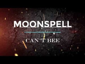 Moonspell - Can't Bee (Guitar Cover)