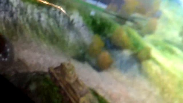 WOT на Xbox 720 смотреть онлайн