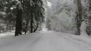 SvBike Winter PushRide. Видео зимней покатушки на велосипеде от первого лица | мтб | кросс-кантри