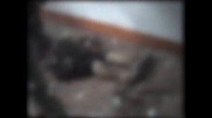 Осетины оскорбляют мертвых чеченских девушек