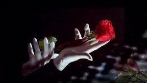 Белая птица.mp4