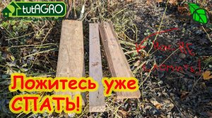 ВСЕ РОЗЫ ПЕРЕЗИМУЮТ! Укрытие нежных растений: зачем, когда, как и чем. Обработка перед укрытием.