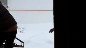 ХАРДТЕЙЛ ИЗ ИЖА своими руками